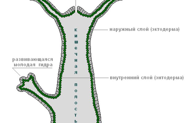 Кракен актуальная ссылка на сегодня